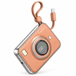 Power Bank 10000 mAh — Earldom ET-PD56  — Brown